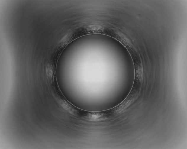 X0000116420662200912081505