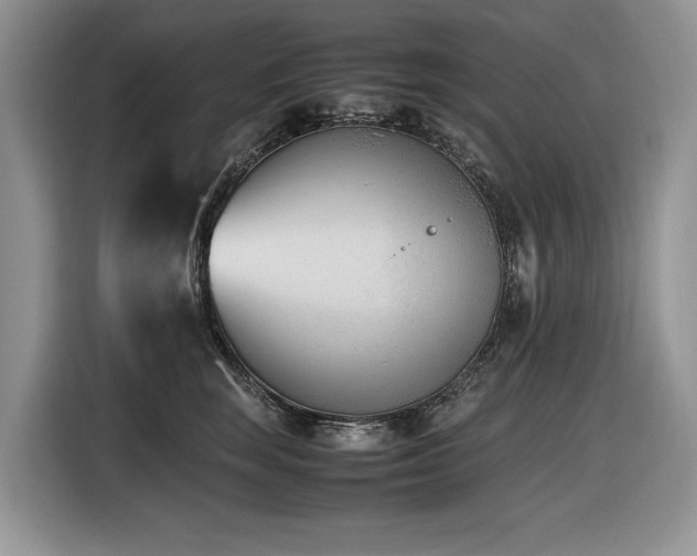 X0000116420663200912081505