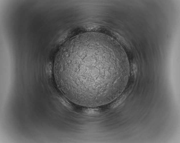 X0000116420664200912081505