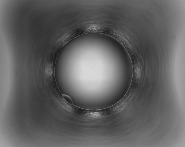 X0000116420665200912081505