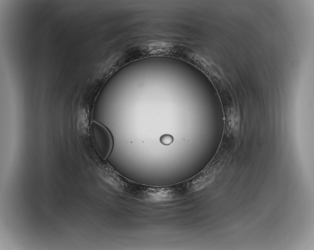 X0000116420667200912081505