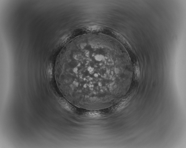 X0000116420668200912081505