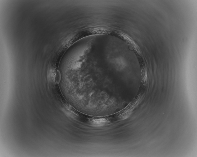 X0000116420669200912081505