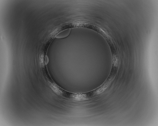 X0000116420670200912081505