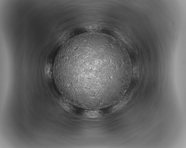 X0000116420671200912081505