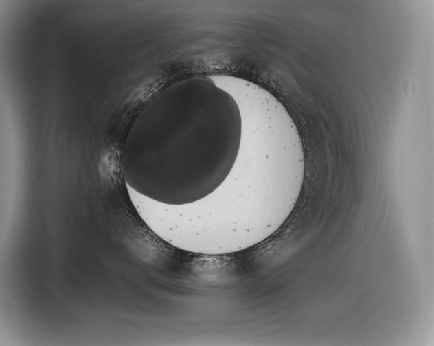 X0000116420672200912081505