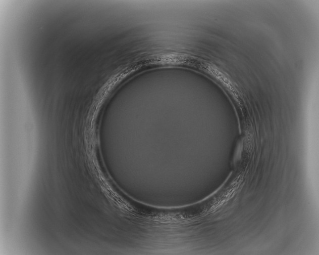 X0000116420673200912081504