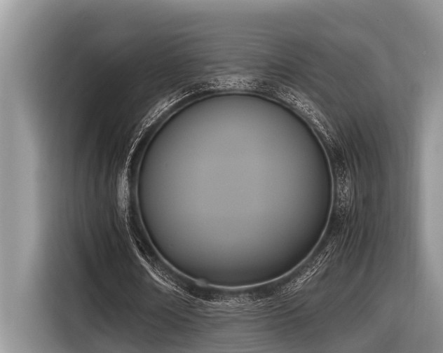 X0000116420674200912081504