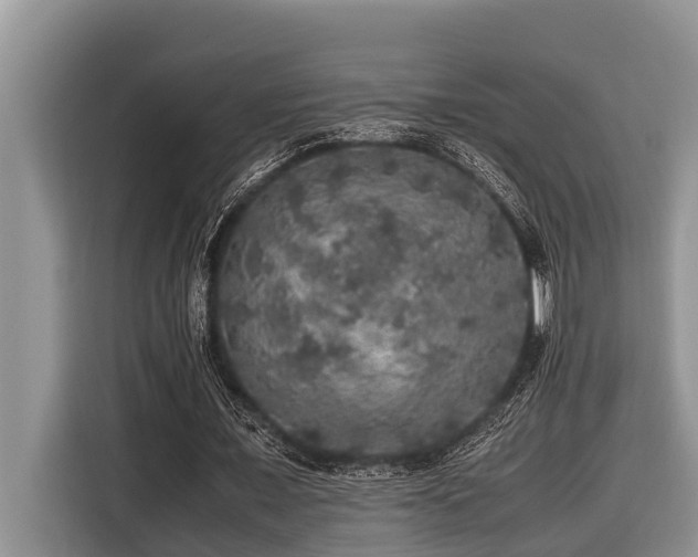 X0000116420675200912081504