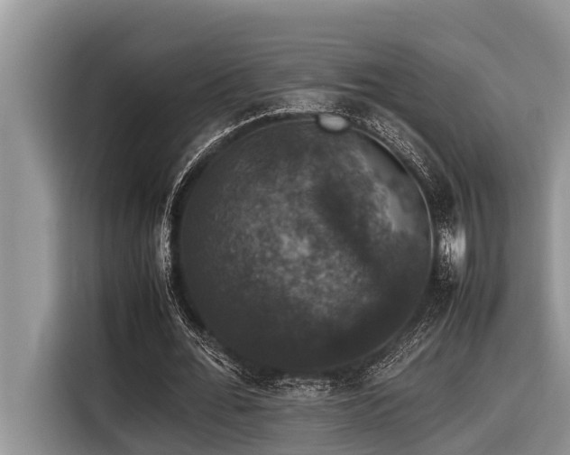 X0000116420676200912081504