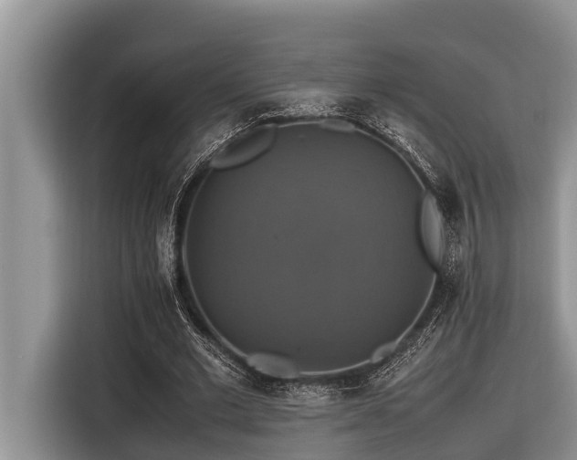 X0000116420677200912081504