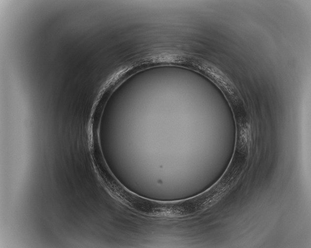 X0000116420678200912081504