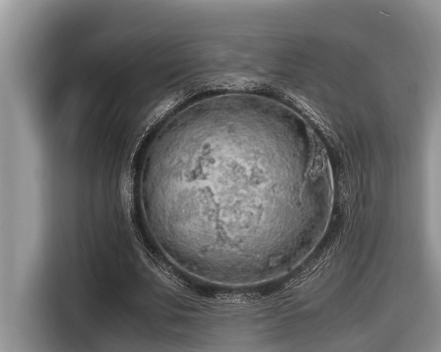 X0000116420679200912081504