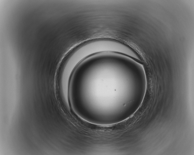 X0000116420680200912081504