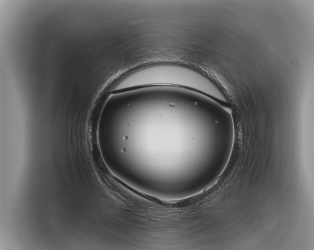 X0000116420684200912081504