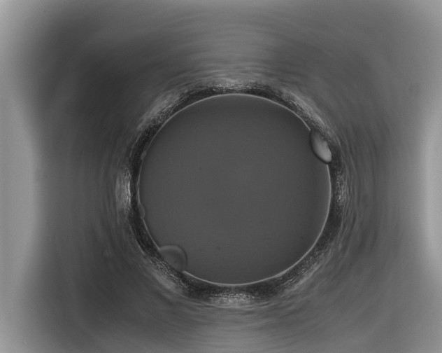 X0000116420685200912081504