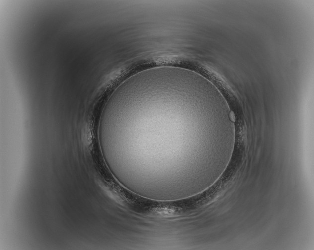 X0000116420687200912081504