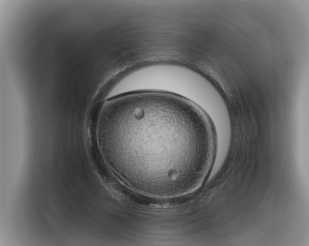 X0000116420688200912081504