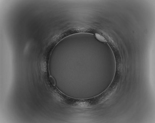 X0000116420689200912081504