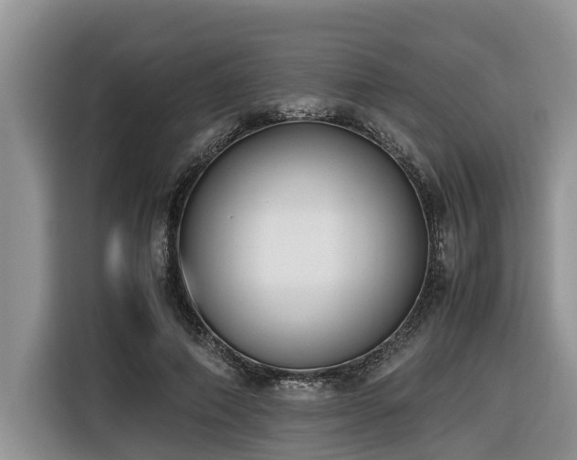 X0000116420690200912081504