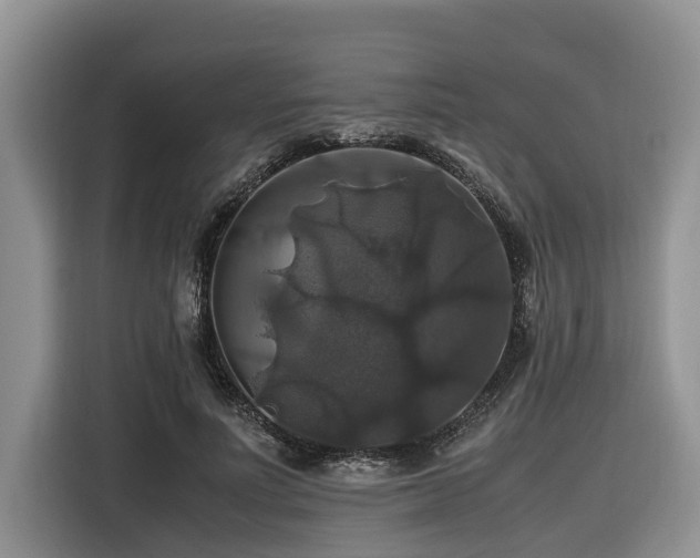 X0000116420691200912081504