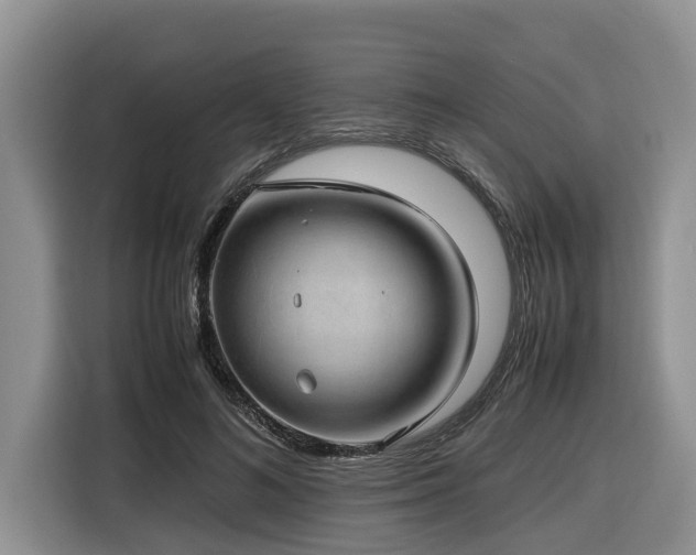 X0000116420692200912081504