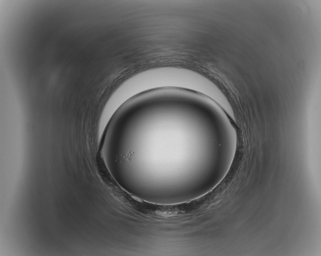 X0000116420693200912081504