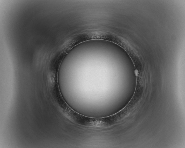 X0000116420695200912081504