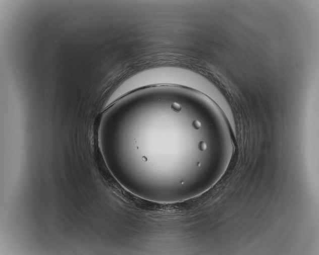 X0000116420696200912081504