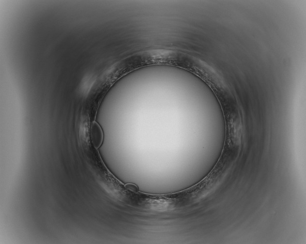 X0000116420698200912081504