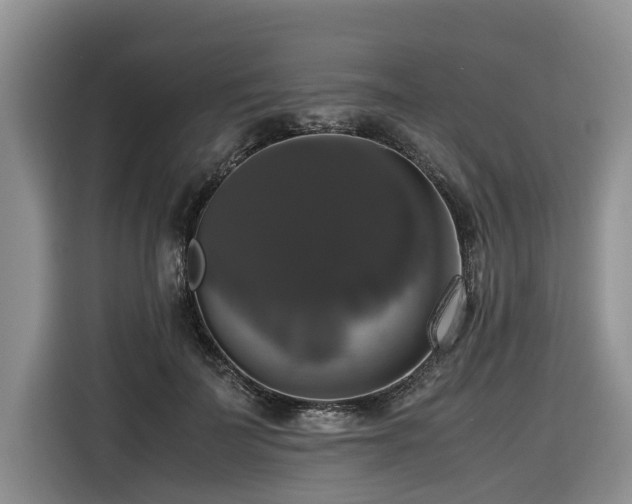 X0000116420699200912081504