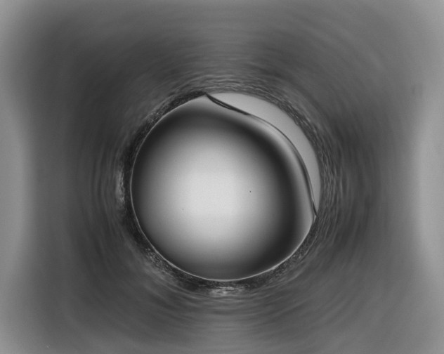 X0000116420700200912081504