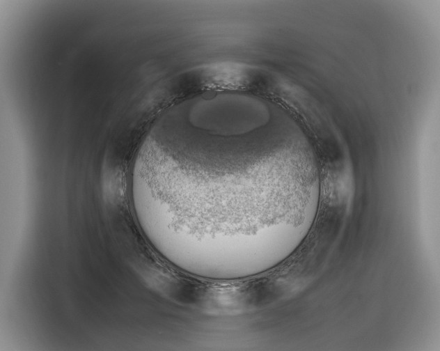 X0000116420701200912081504