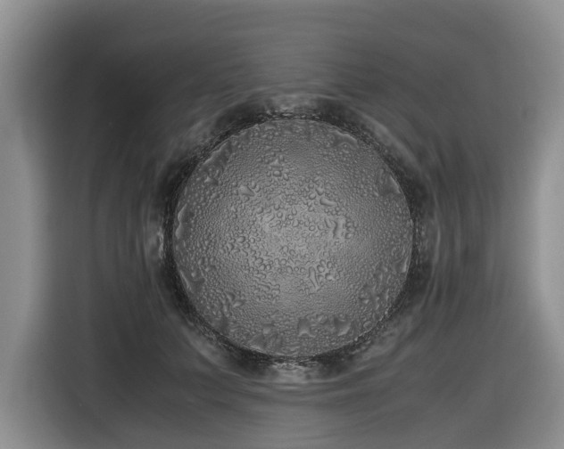 X0000116420703200912081504