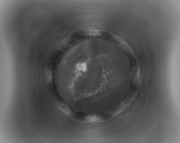 X0000116420704200912081504