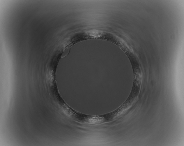 X0000116420707200912081504