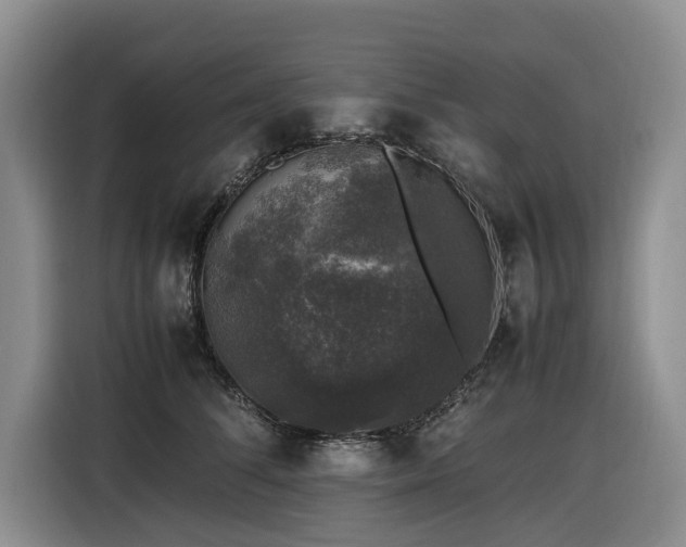 X0000116420708200912081504