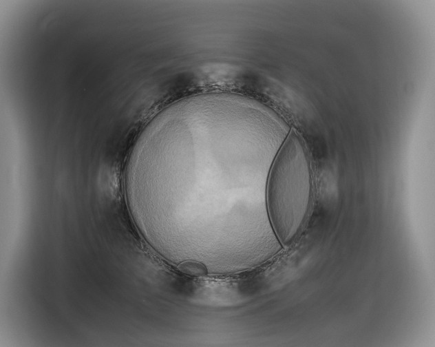 X0000116420709200912081504