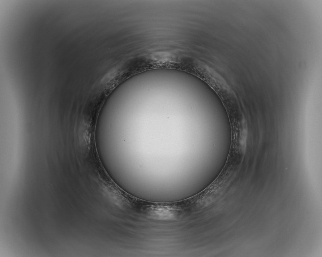 X0000116420710200912081504