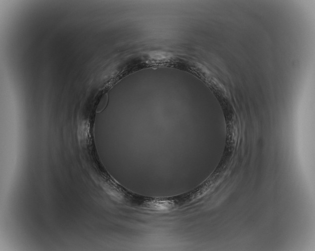 X0000116420711200912081504