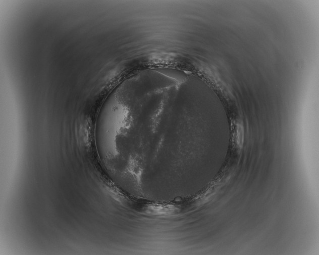 X0000116420712200912081504