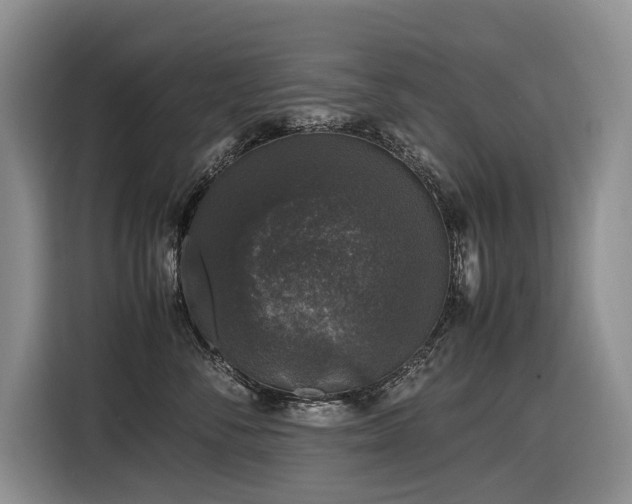 X0000116420716200912081504