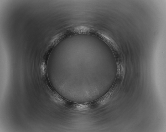 X0000116420718200912081504