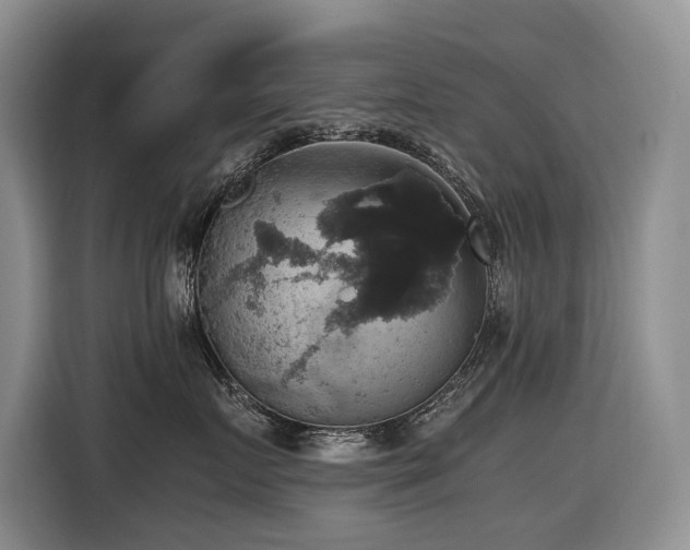 X0000116420719200912081504