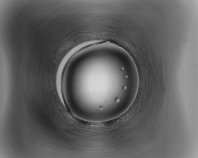 X0000116420720200912081504