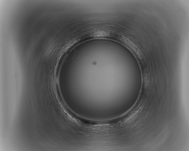 X0000116420721200912081503