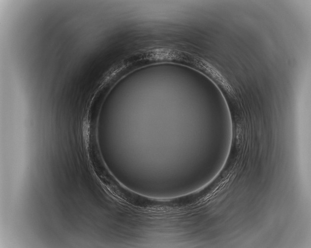 X0000116420722200912081503