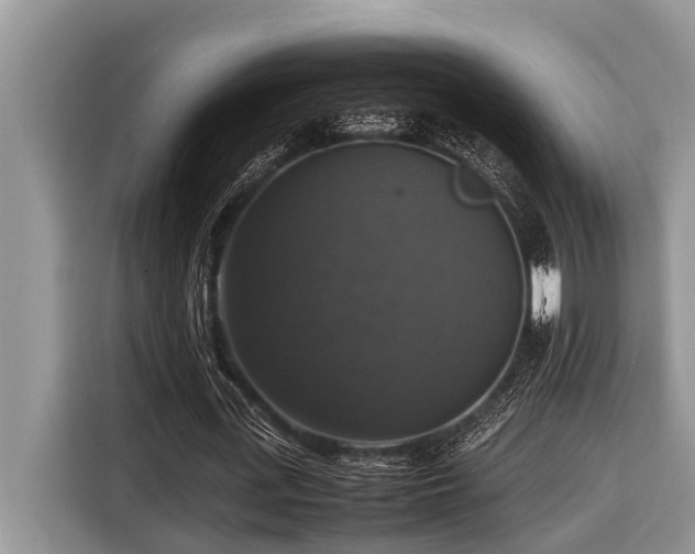 X0000116420723200912081503