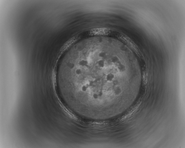 X0000116420725200912081503