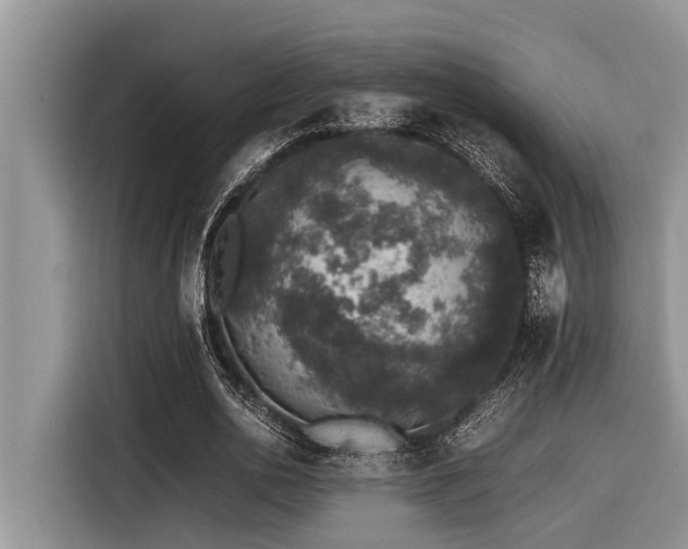 X0000116420726200912081503